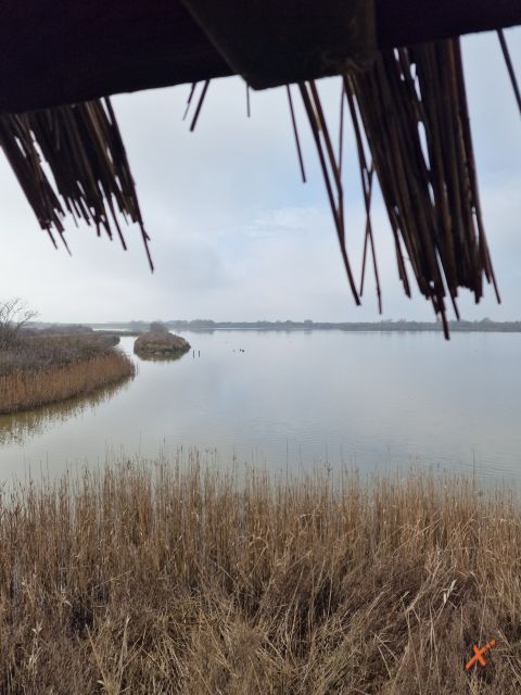 osservatorio-riserva-naturale-valle-canal-novo-explorerfvg (3)