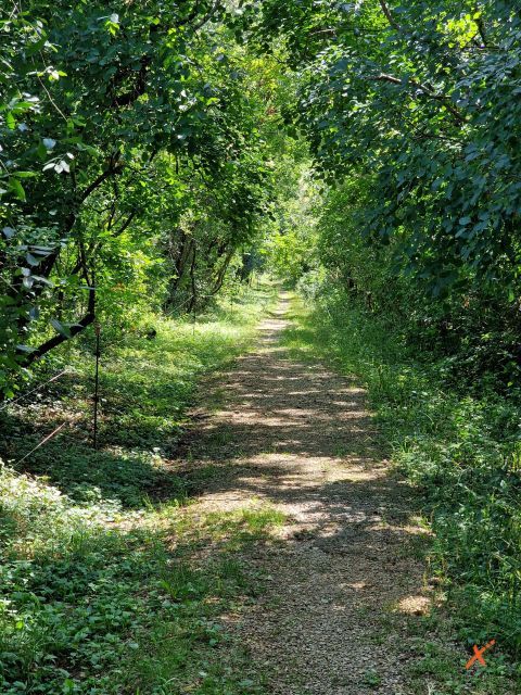 percorsi-riserva-lago-di-doberdo-explorerfvg (1)