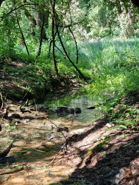 percorsi-riserva-lago-di-doberdo-explorerfvg (2)