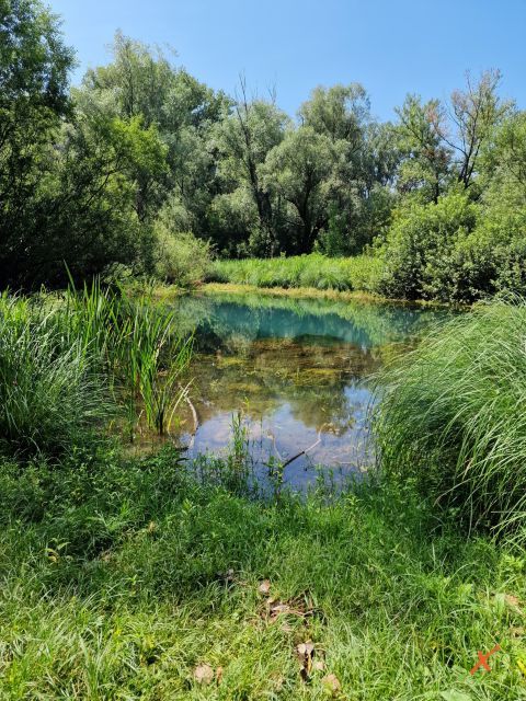 percorsi-riserva-lago-di-doberdo-explorerfvg (3)