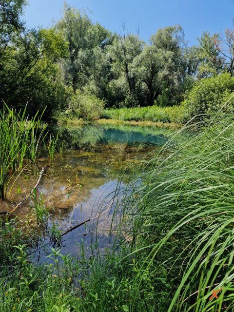 percorsi-riserva-lago-di-doberdo-explorerfvg (4)
