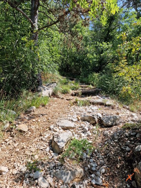 percorsi-riserva-lago-di-doberdo-explorerfvg (5)