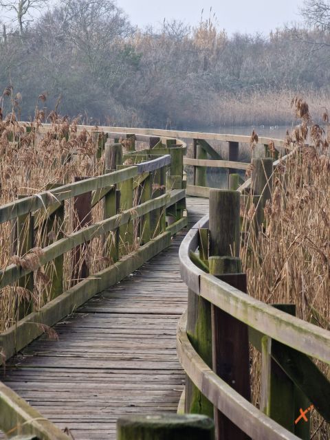 percorso-canneto-riserva-naturale-valle-canal-novo-explorerfvg (2)