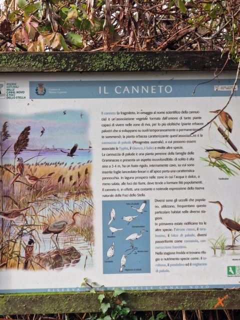 percorso-canneto-riserva-naturale-valle-canal-novo-explorerfvg (3)
