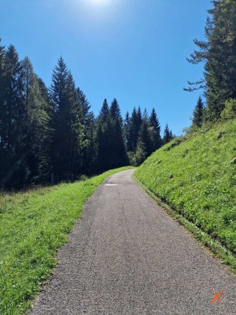 percorso-rifugio-pacherini-explorerfvg (1)