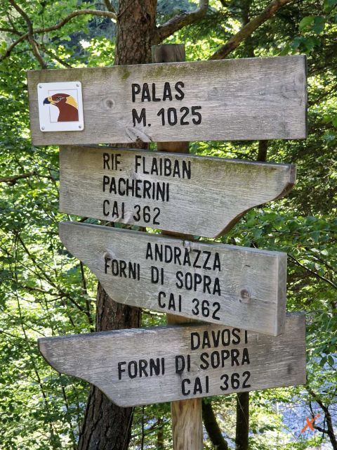 percorso-rifugio-pacherini-explorerfvg (3)