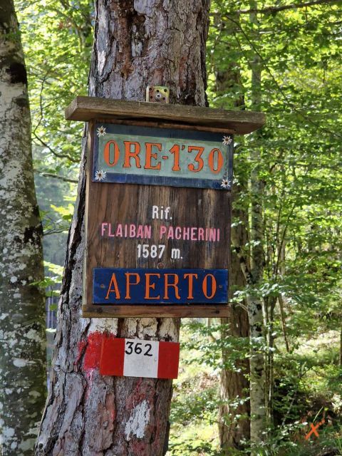 percorso-rifugio-pacherini-explorerfvg (4)