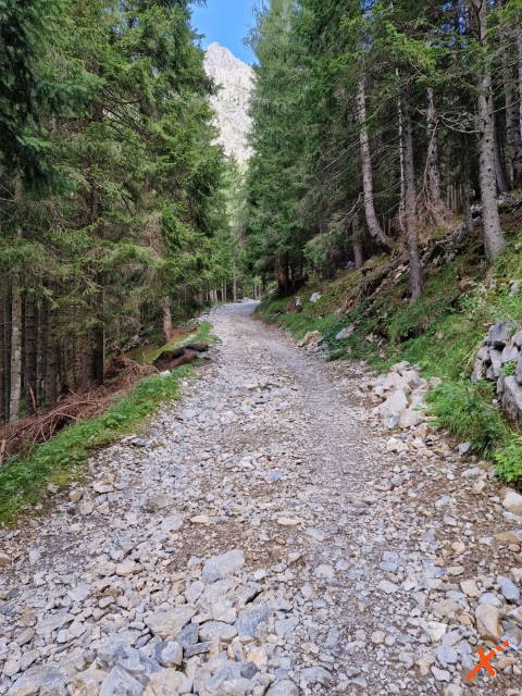 percorso-sentieri-lago-volaia-explorer-fvg (1)