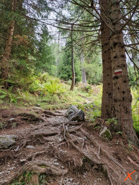 percorso-sentieri-lago-volaia-explorer-fvg (11)