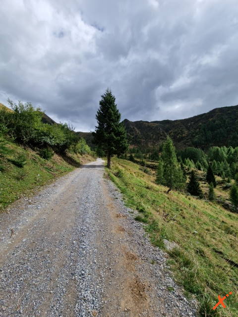 percorso-sentieri-lago-volaia-explorer-fvg (12)