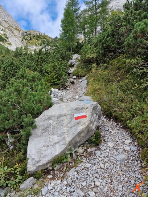 percorso-sentieri-lago-volaia-explorer-fvg (6)