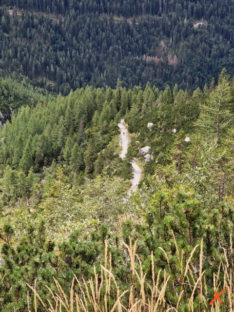 percorso-sentieri-lago-volaia-explorer-fvg (7)