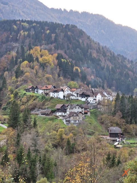 pesariis-explorerfvg (1)