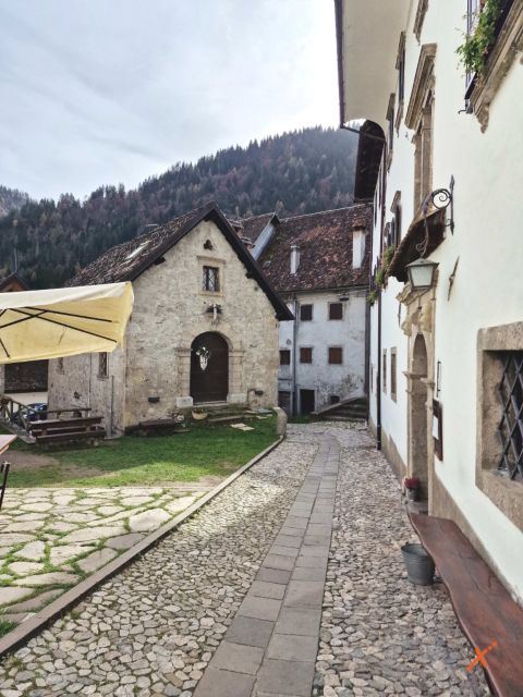 pesariis-explorerfvg (14)