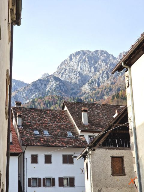 pesariis-explorerfvg (21)