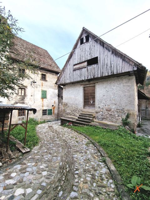 pesariis-explorerfvg (22)