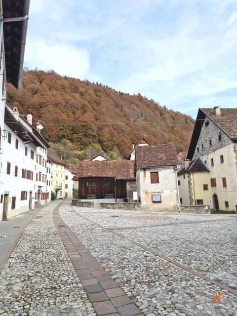 pesariis-explorerfvg (4)