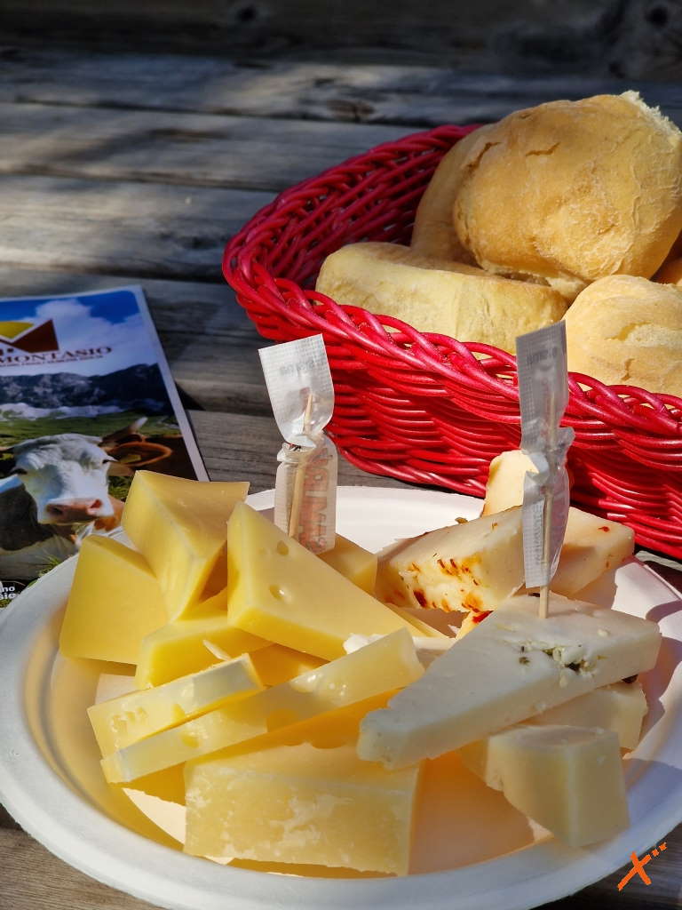 produzione-formaggi-malga-montasio-explorerfvg (1)