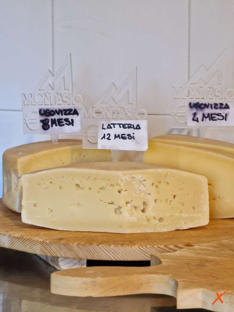 produzione-formaggi-malga-montasio-explorerfvg (5)