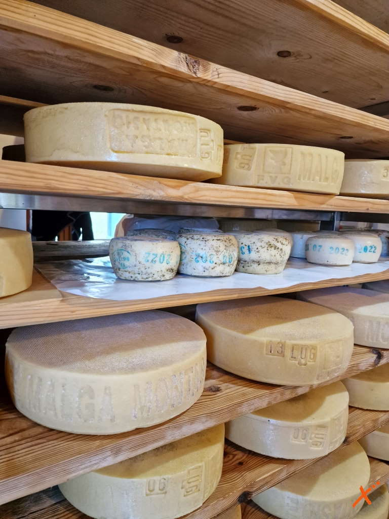 produzione-formaggi-malga-montasio-explorerfvg (6)