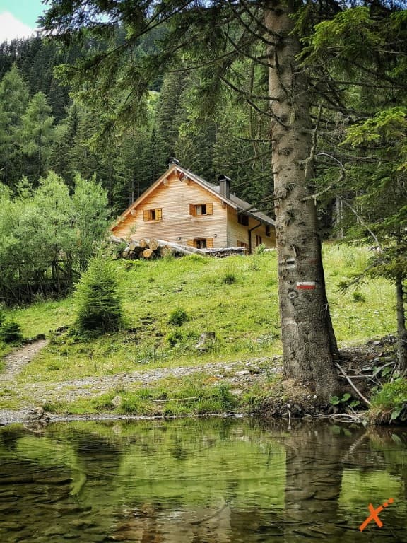 Rifugi nel bosco