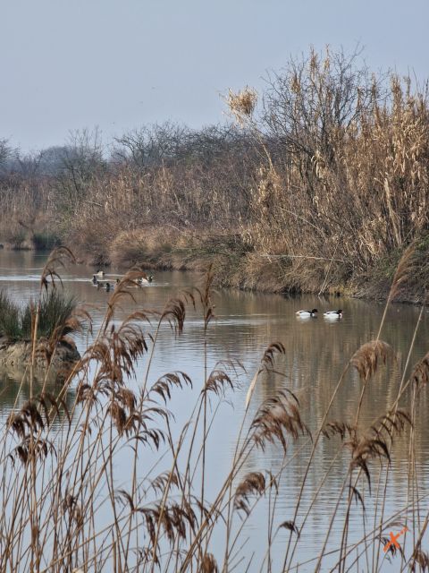 riserva-naturale-valle-canal-novo-explorerfvg (1)