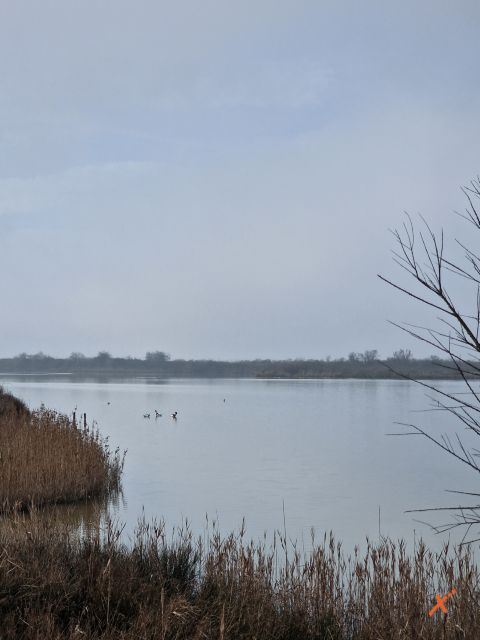 riserva-naturale-valle-canal-novo-explorerfvg (10)