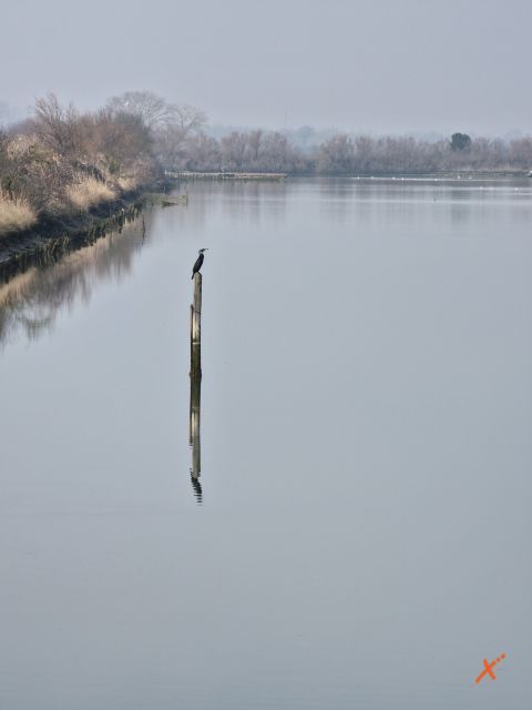 riserva-naturale-valle-canal-novo-explorerfvg (11)