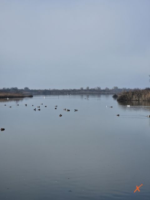 riserva-naturale-valle-canal-novo-explorerfvg (3)