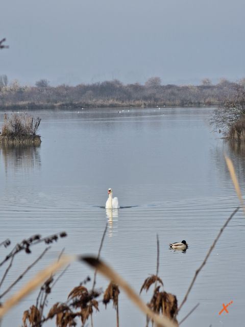 riserva-naturale-valle-canal-novo-explorerfvg (4)