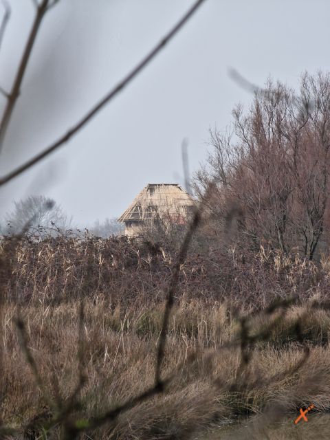 riserva-naturale-valle-canal-novo-explorerfvg (7)