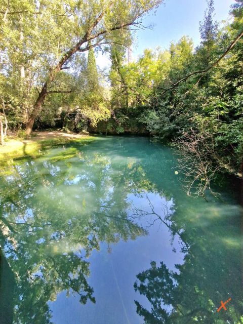 risorgive-del-timavo-explorerfvg (1)