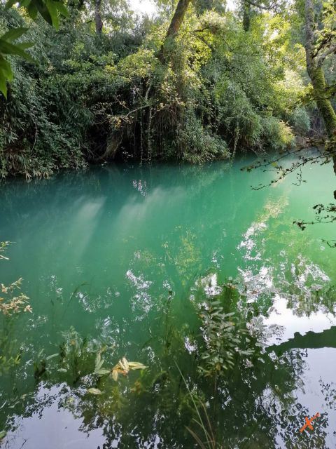 risorgive-del-timavo-explorerfvg (14)