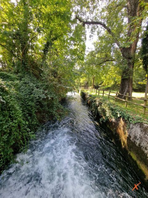 risorgive-del-timavo-explorerfvg (2)