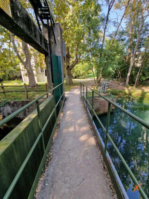 risorgive-del-timavo-explorerfvg (3)