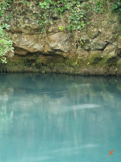 risorgive-del-timavo-explorerfvg (4)