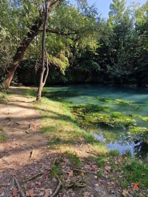 risorgive-del-timavo-explorerfvg (5)