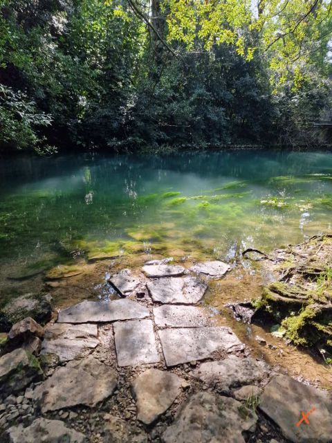 risorgive-del-timavo-explorerfvg (7)