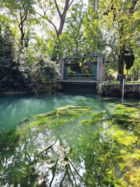 risorgive-del-timavo-explorerfvg (8)