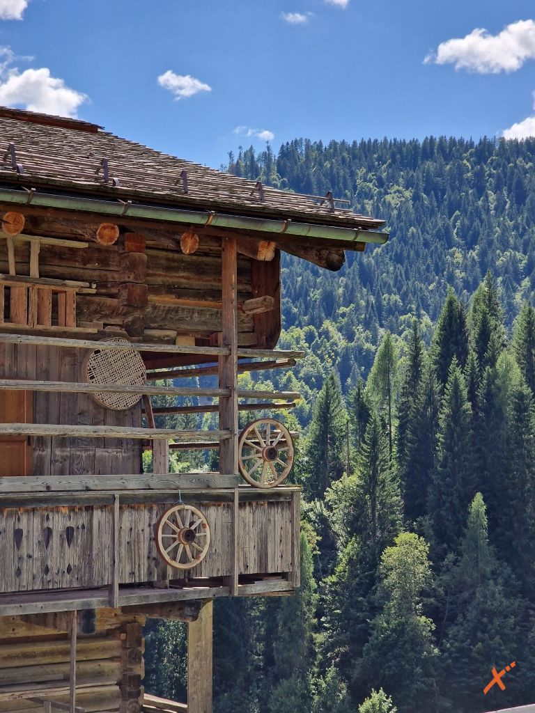 sauris-explorerfvg (2)