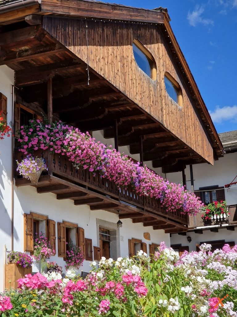 sauris-explorerfvg (20)