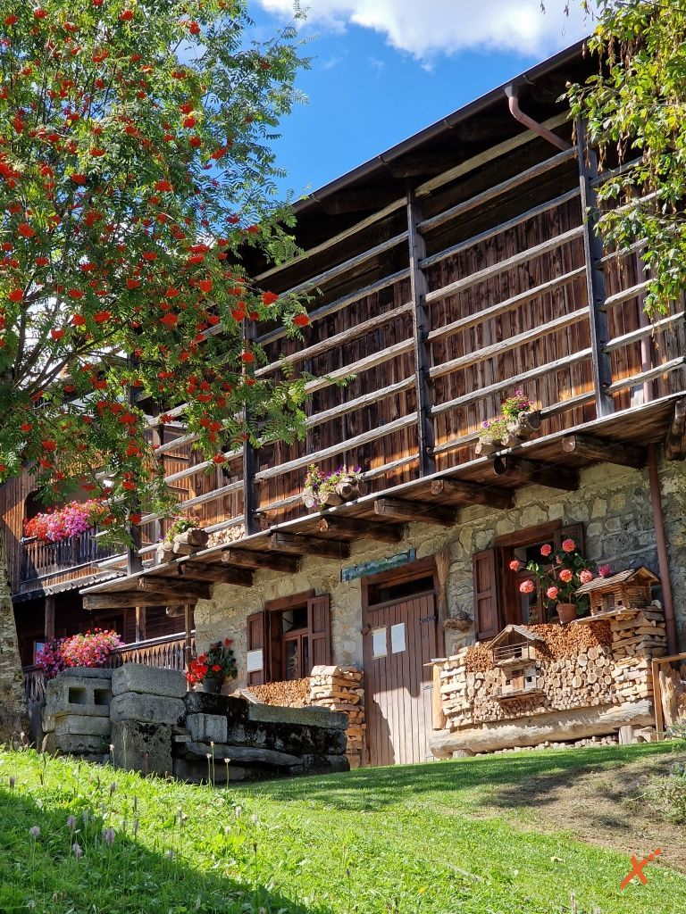 sauris-explorerfvg (7)