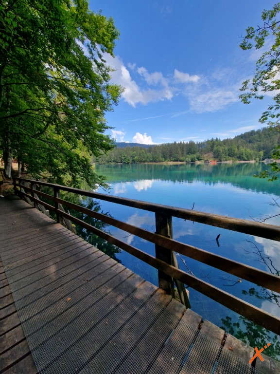 sentieri-laghi-di-fusine-explorerfvg (3)