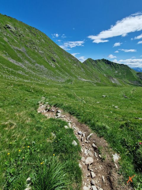 sentieri-monte-crostis-malga-chiadinas-explorerfvg (3)