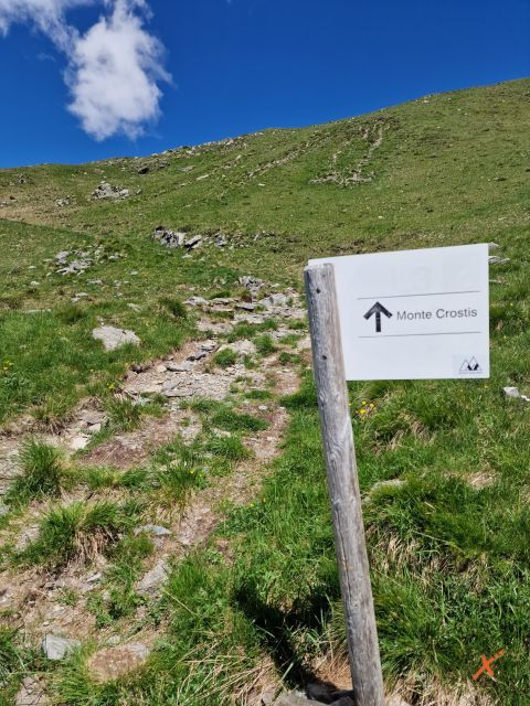 sentieri-monte-crostis-malga-chiadinas-explorerfvg (4)