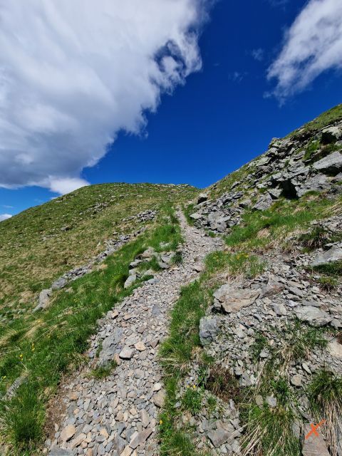 sentieri-monte-crostis-malga-chiadinas-explorerfvg (5)