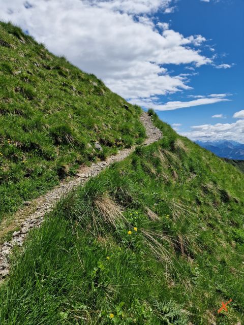 sentieri-monte-crostis-malga-chiadinas-explorerfvg (6)