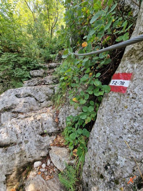 sentiero-del-castelliere-lago-di-doberdo-explorerfvg (5)