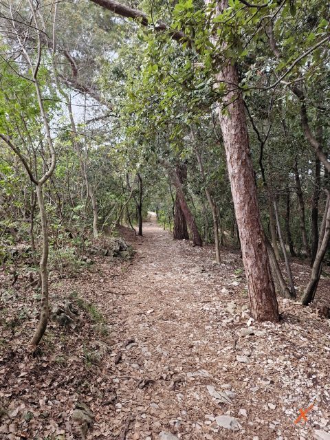 sentiero-rilke-riserva-falesie-di-duino-explorerfvg (1)