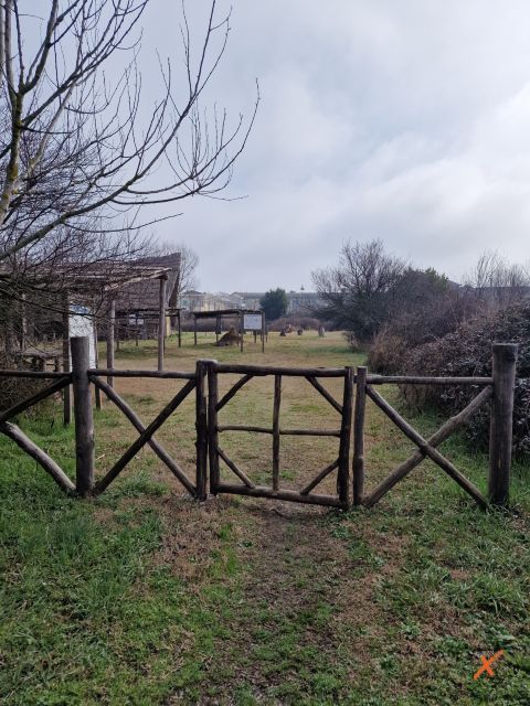 sito-preistorico-riserva-naturale-valle-canal-novo-explorerfvg (1)